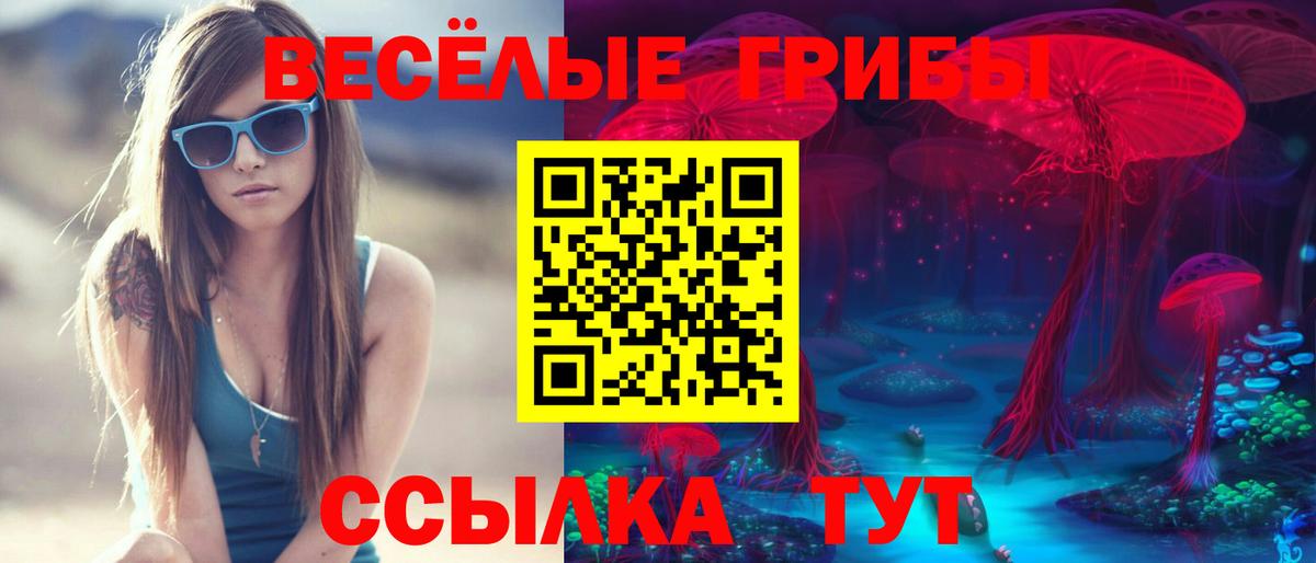 Кушва  Псилоцибиновые грибы GOLDEN TEACHER  Вход с VPN 